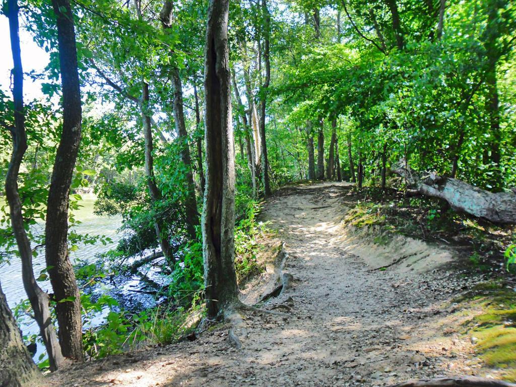 Private Boho Bungalow 10 Minutes To Downtown Rva! Richmond Esterno foto